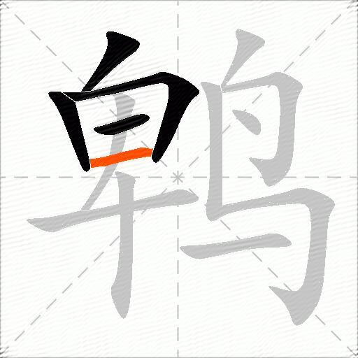 鹎