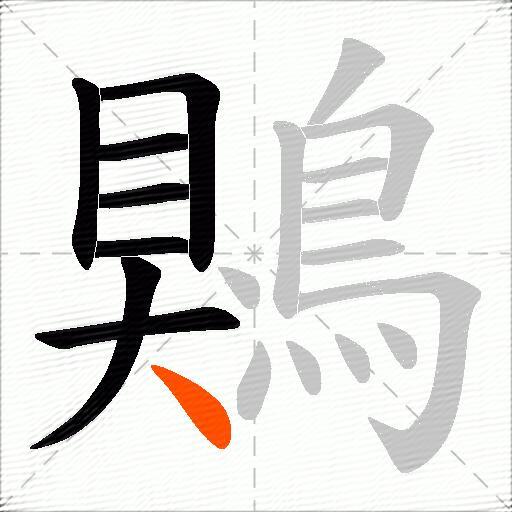 鶪