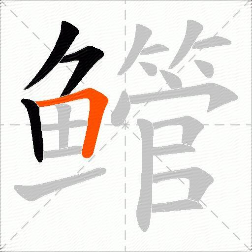 鳤