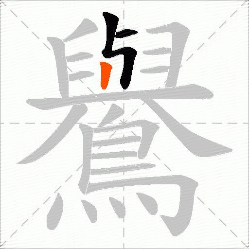 鸒