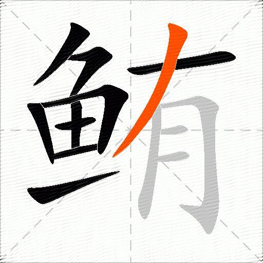 鲔