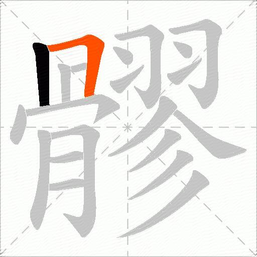 髎