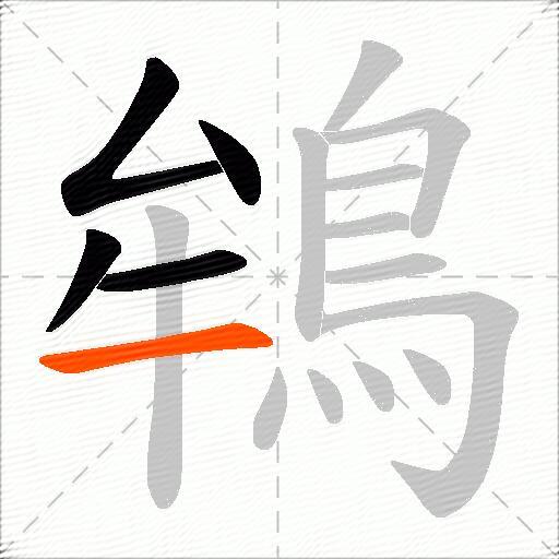 鴾