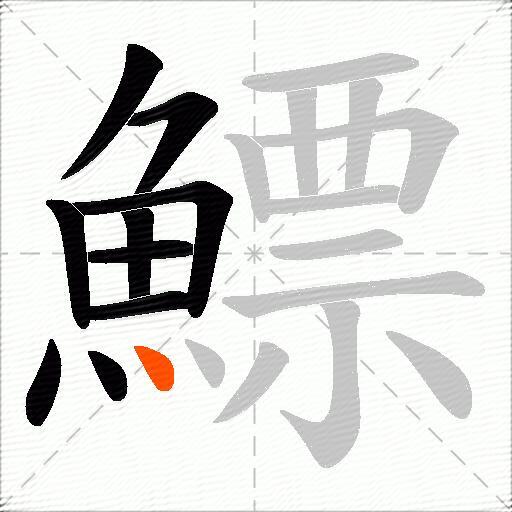 鰾