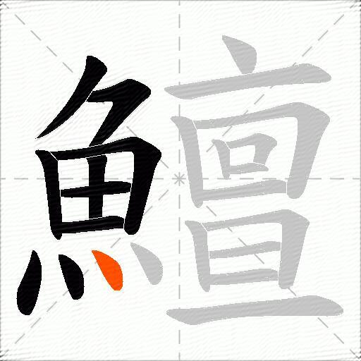 鱣