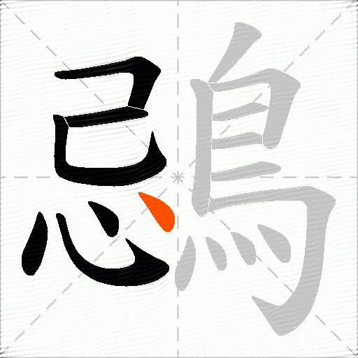 鵋
