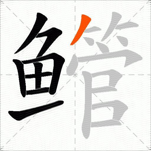 鳤