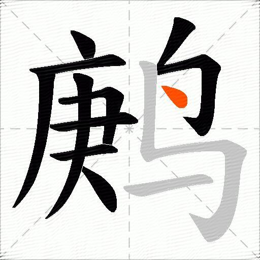 鹒