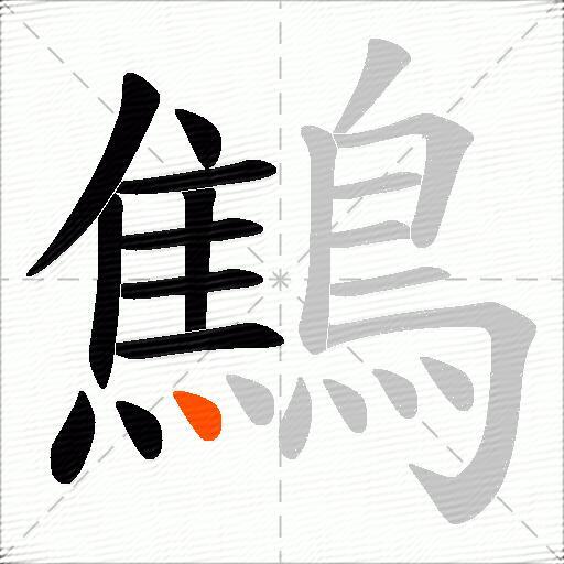 鷦
