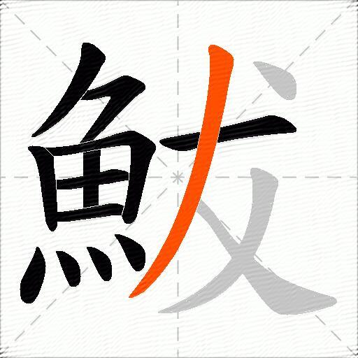 鮁