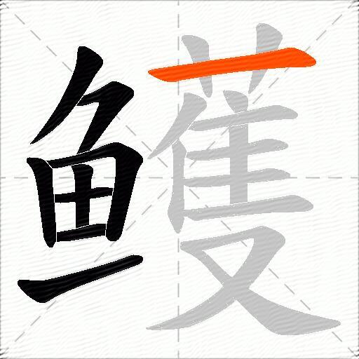 鳠