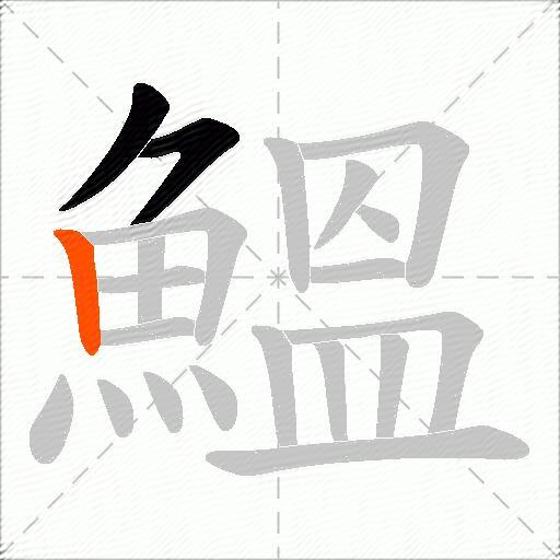 鰮