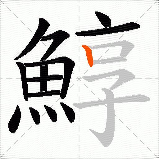 鯙