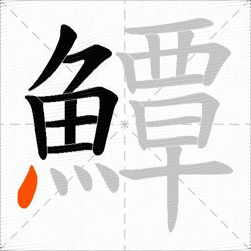 鱏