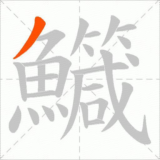 鱵