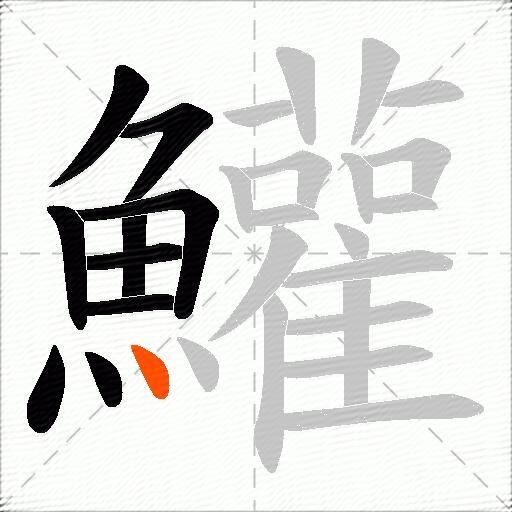 鱹