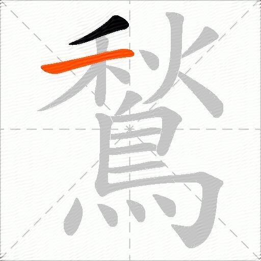 鶖