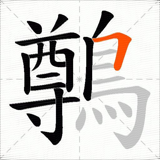 鷷