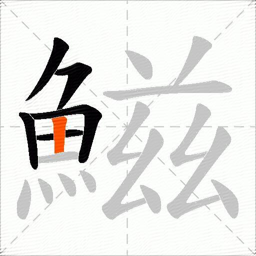鰦