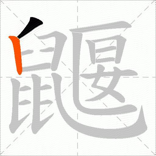 鼴