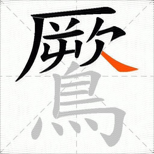 鷢