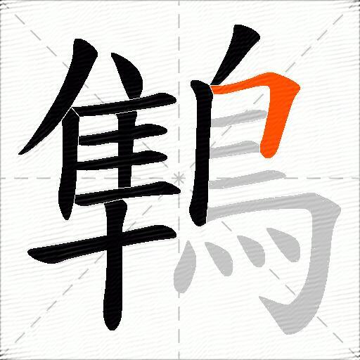 鶽