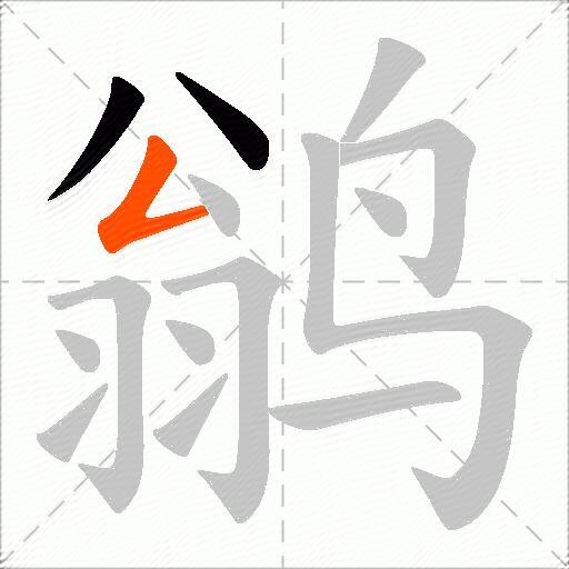鹟