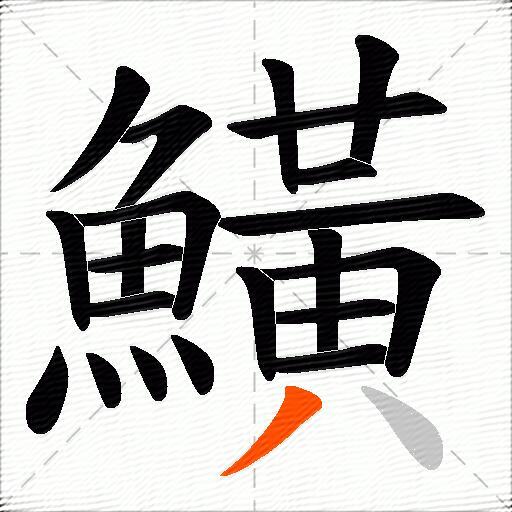 鱑
