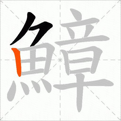 鱆