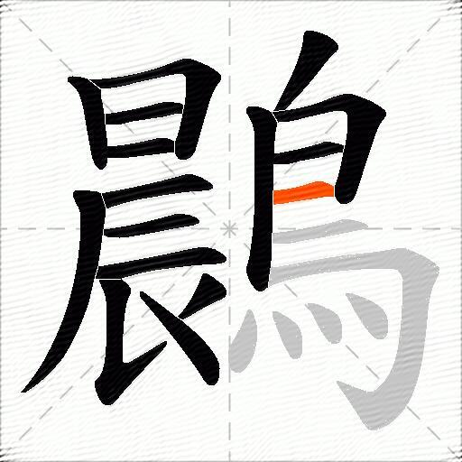 鷐