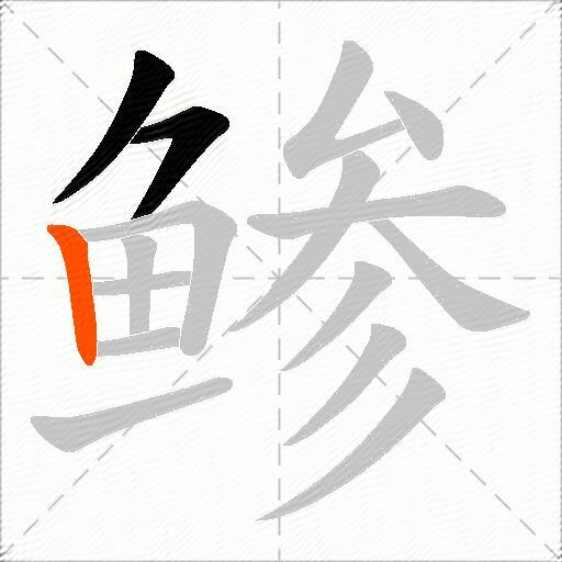 鲹