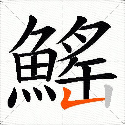 鰩