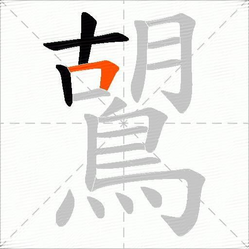 鶦