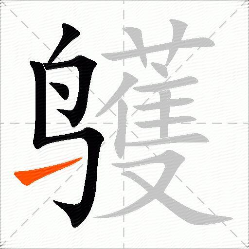 鹱