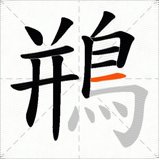 鵧