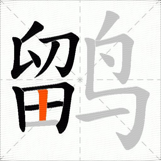 鹠