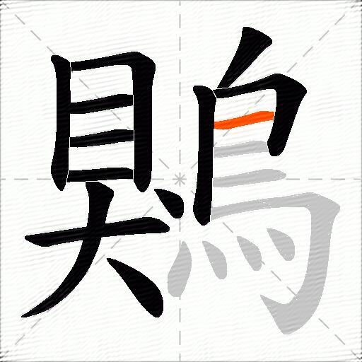 鶪