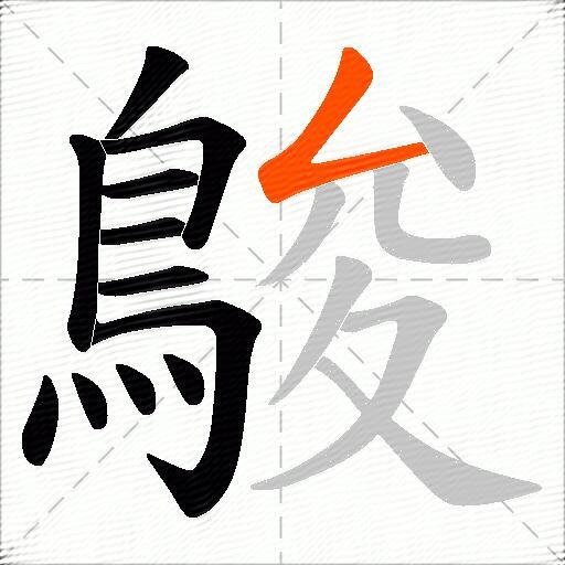 鵔