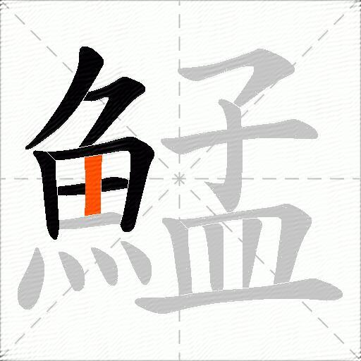 鯭