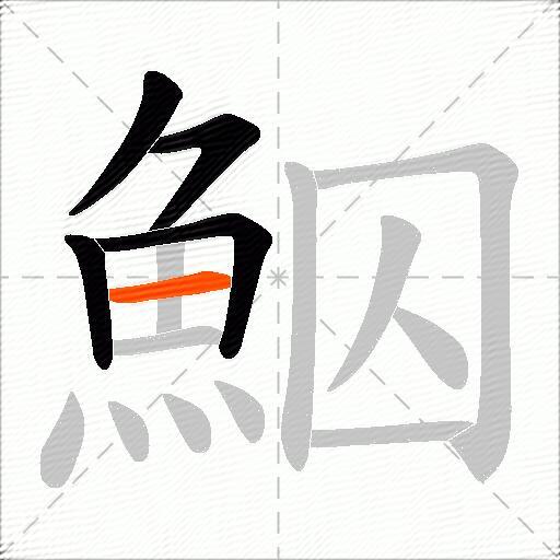 鮂
