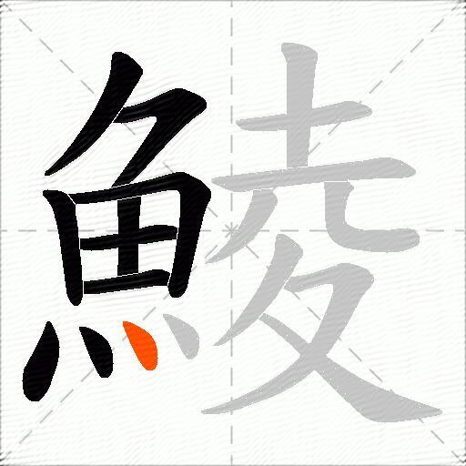 鯪