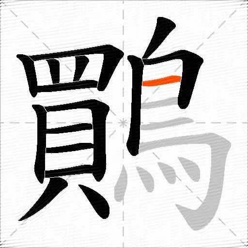 鷶