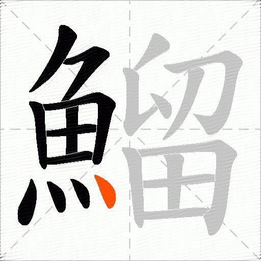 鰡