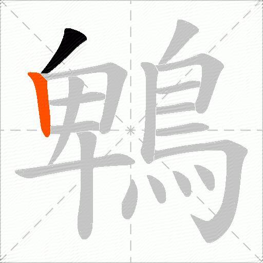 鵯