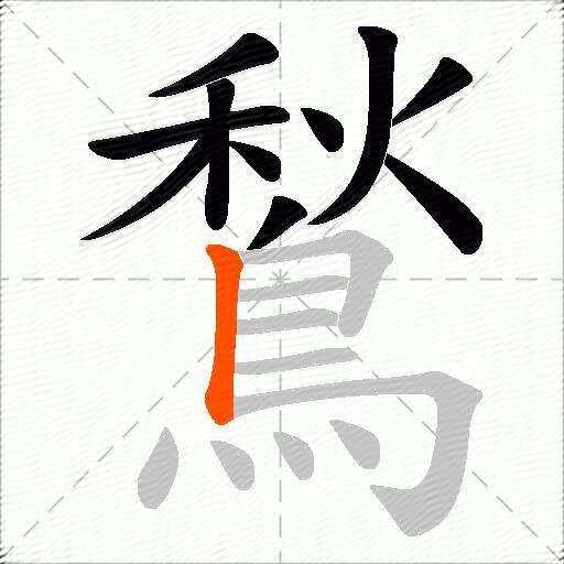 鶖