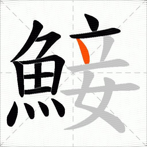 鯜