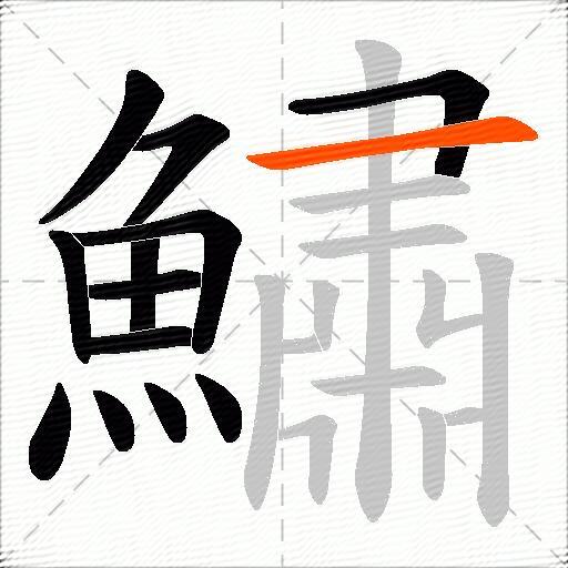 鱐