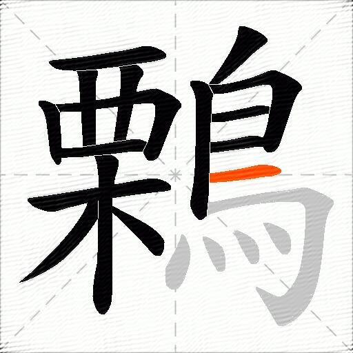 鷅