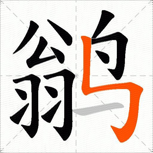 鹟