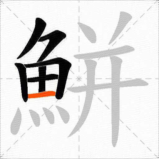 鮩